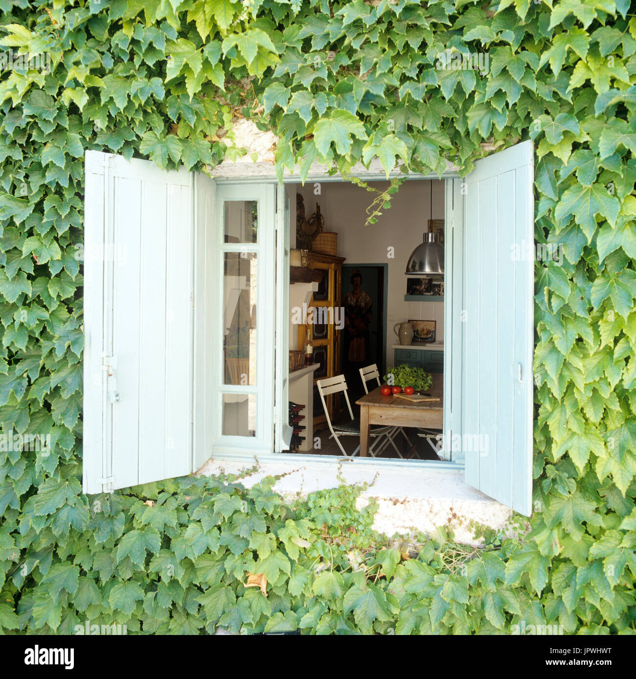 Fenster, umgeben von Reben Stockfoto