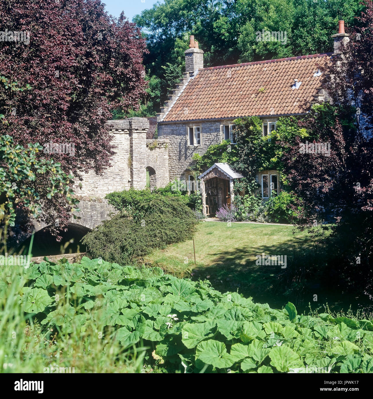 Cottage-Garten Stockfoto