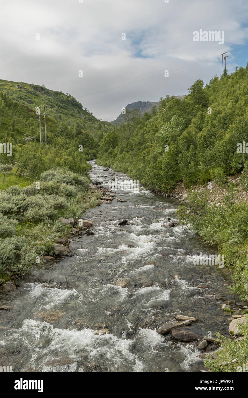 kleiner Fluss nördlichen Norwegen stream Stockfoto