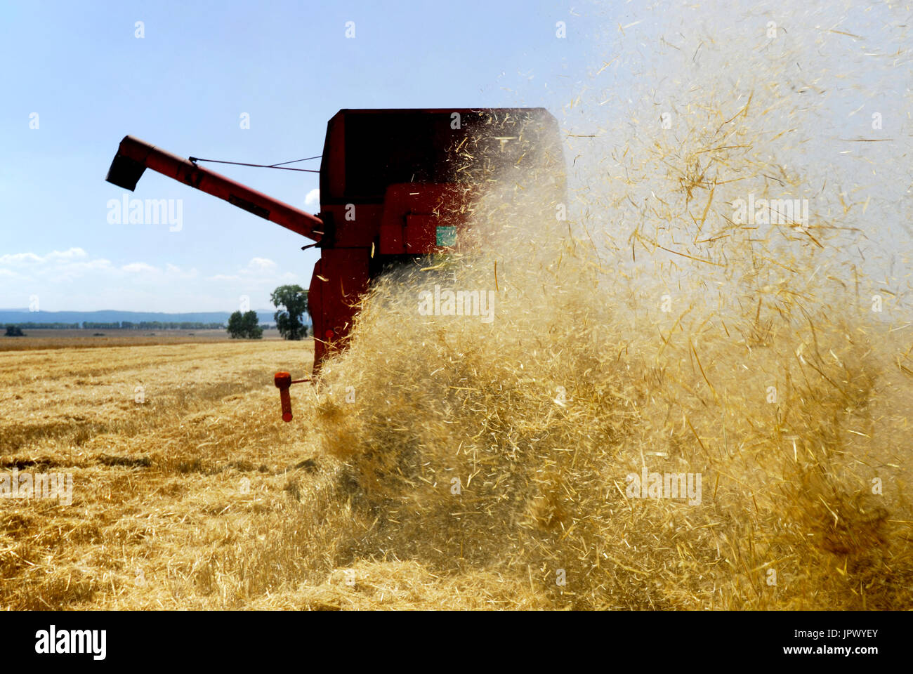 Mähdrescher, Ernte, Überfluß, Fülle, Nachmittag, Agribusiness, Landwirtschaft, Landwirtschaft, Bountiful, Bounty, Erntemaschine, Mähdrescher, Land, auf dem Land Stockfoto