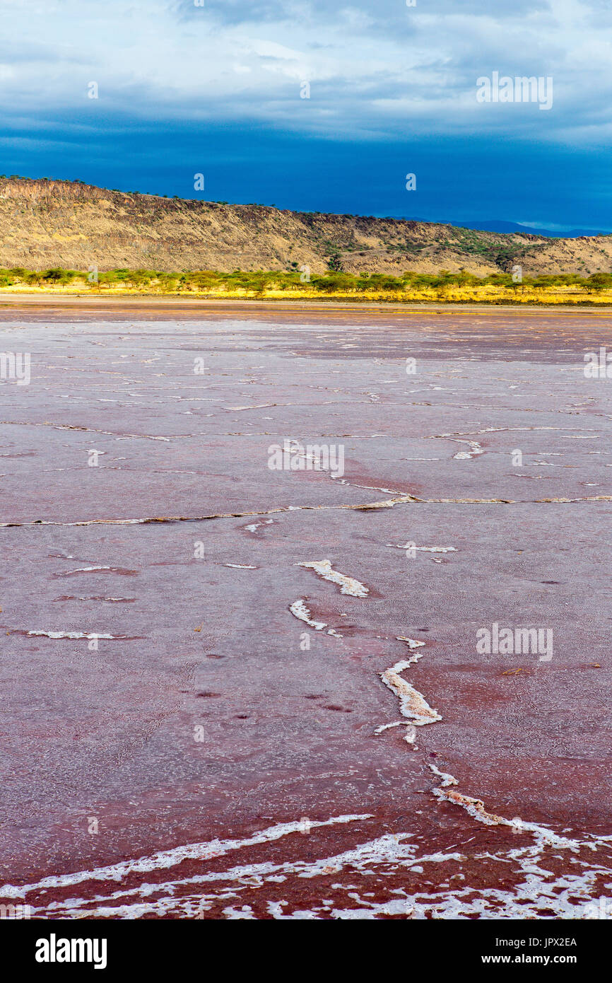 Natriumcarbonat Kaution - Lake Magadi Rift Valley Kenia Stockfoto