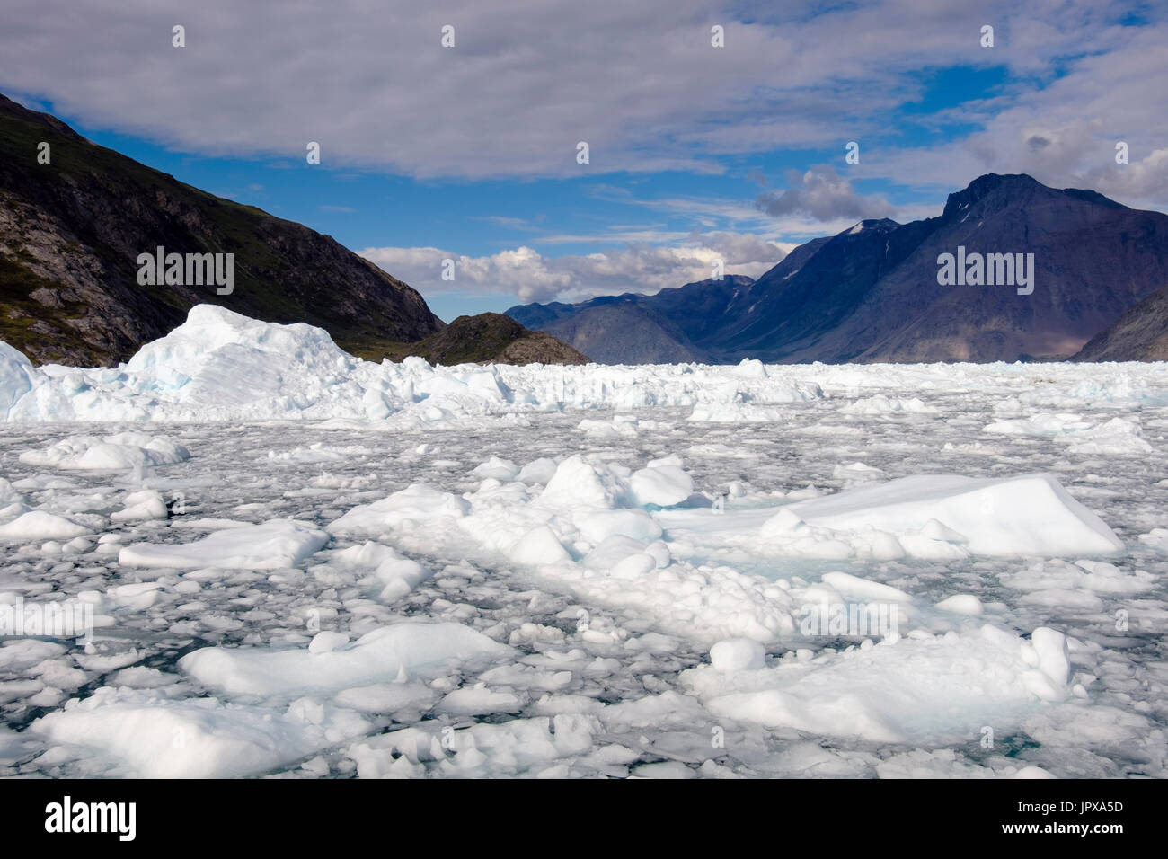 Eis aus Qorqup Sermia Gletscher Qooroq Eisfjord nach ungewöhnlichen Wetterbedingungen 2016 zu blockieren. Narsarsuaq, Kujalleq, Südgrönland Stockfoto