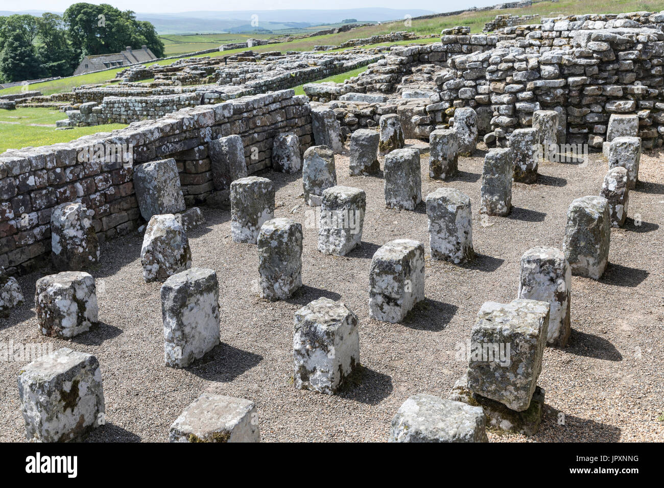 Getreidespeicher in Housesteads römischen Festung auf Hadrian Wall Stockfoto