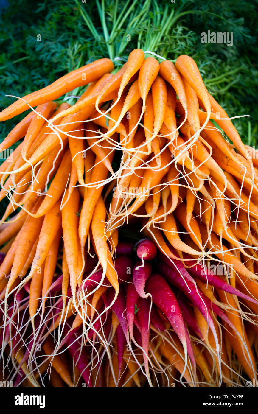 Frische reife Bio-Gemüse an einer örtlichen Bauernmarkt in Penticton, Britisch-Kolumbien, Kanada. Stockfoto