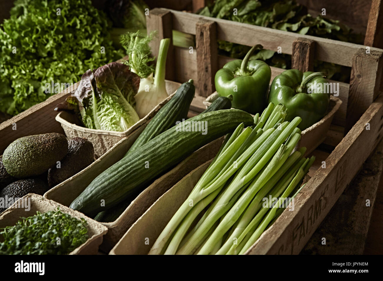 Still-Leben frisch, Bio, gesund, grün Gemüseernte Vielfalt in Holz Kiste Stockfoto