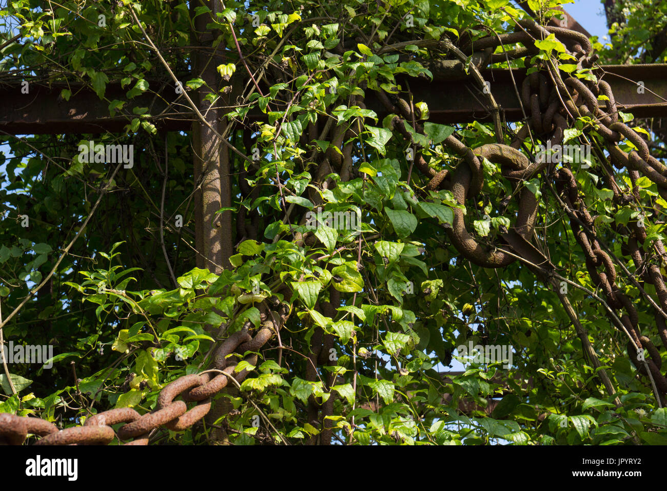 Natur die Übernahme eines verlassenen Kupfermine. Vegetation in den Ketten und Fesseln der Turm Käfige für die Eingabe der Mine wächst. Stockfoto