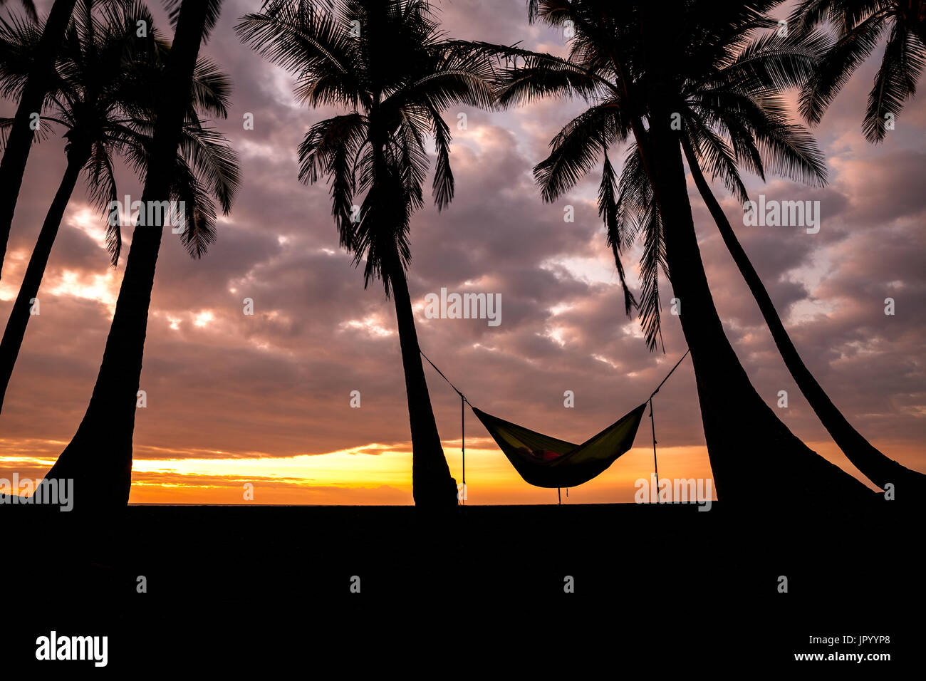 HI00229-00... Hawaii - schlafen in einer Hängematte bei Sonnenaufgang am Punalu'u Beach Park auf der Insel Hawai ' i. Stockfoto