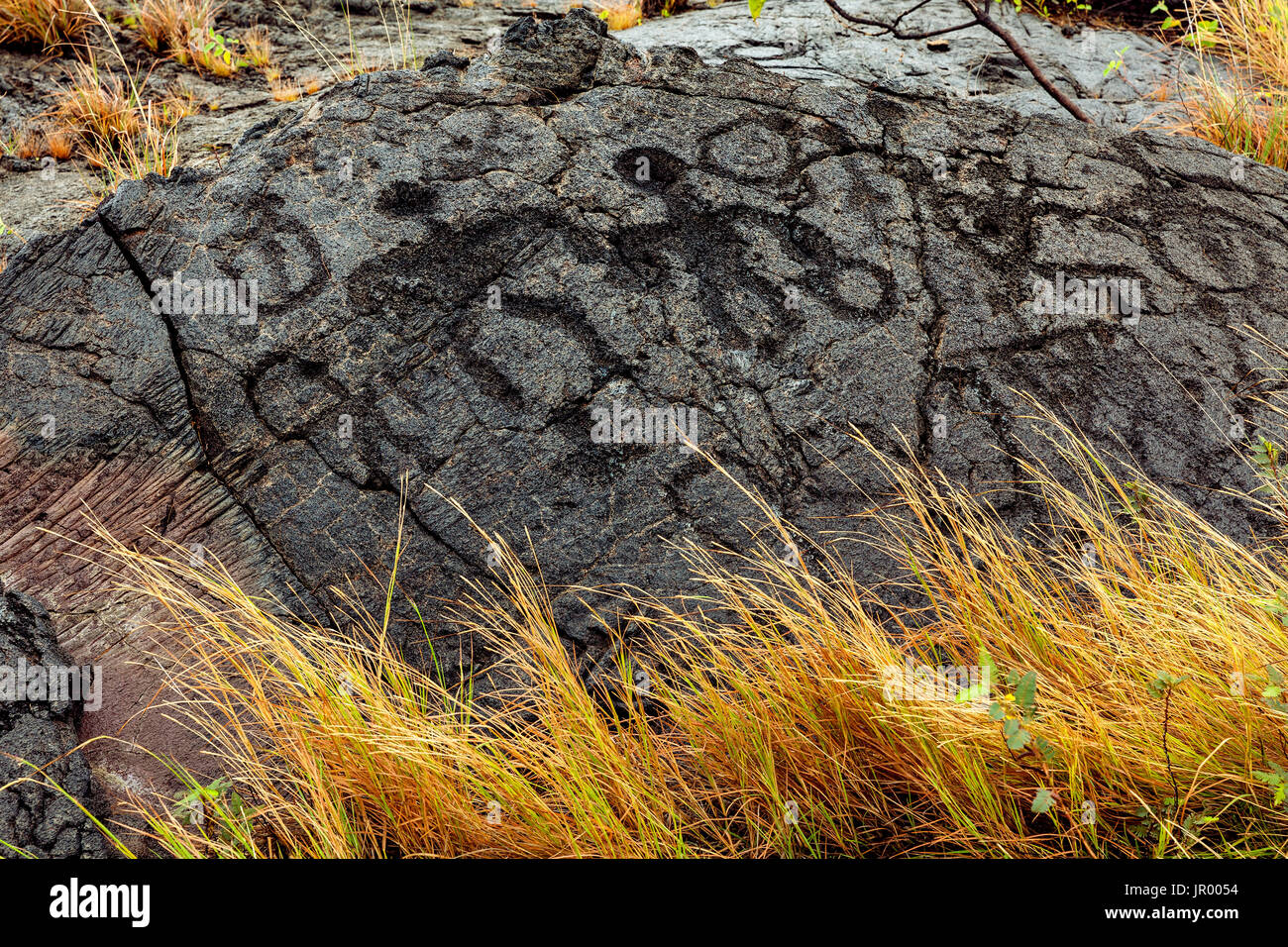 HI00262-00... Hawaii - Pu'u Loa Petroglyphs entlang der Chain Of Craters Road in Hawai ' i-Volcanoes-Nationalpark auf der Insel Hawai ' i. Stockfoto