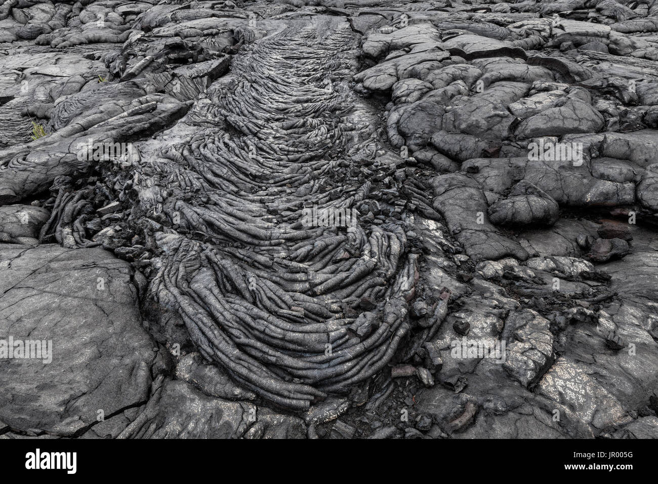 HI00263-00... Hawaii - Wespennest Pahoehoe-Lava am Alanui Kahiko Lave fließen im Volcanoes National Park auf der Insel Hawai ' i. Stockfoto