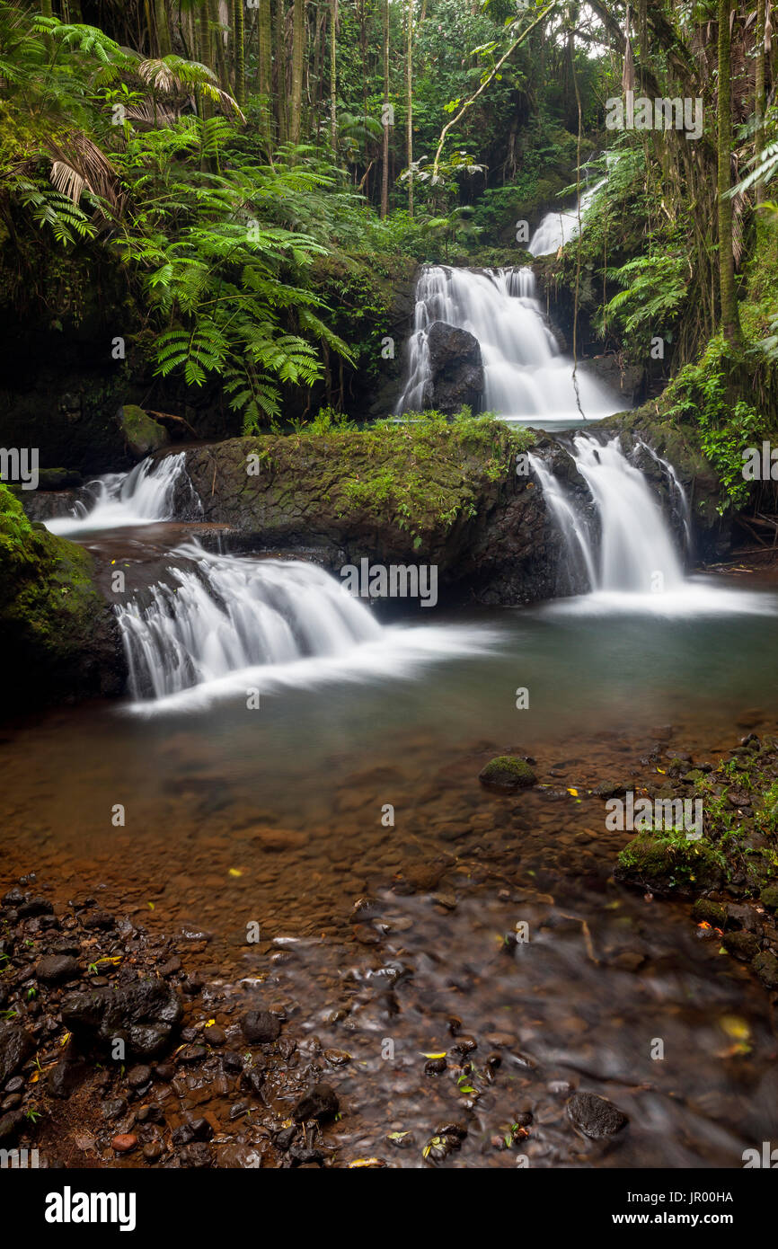 HI00326-00... Hawaii - Wasserfall in Hawaii Tropical Botanical Garden in der Nähe von Hilo auf der Insel Hawai ' i. Stockfoto