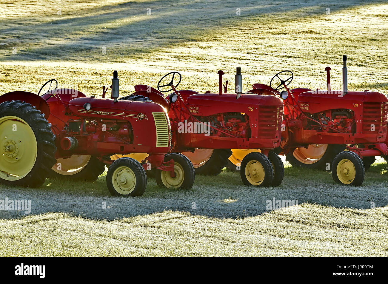 Drei rote Landwirtschaftstraktoren in einer Linie auf einem Bauernhof-Feld mit einer morgendlichen Frost in New Brunswick, Kanada Stockfoto