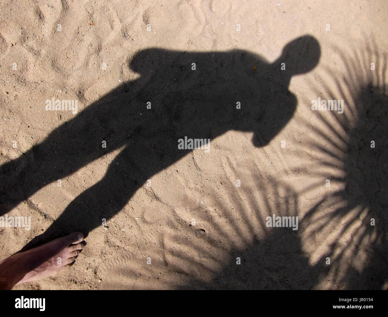 Der Schatten der eine Mann und Palmen auf dem Sand. Abstraktion. Stockfoto