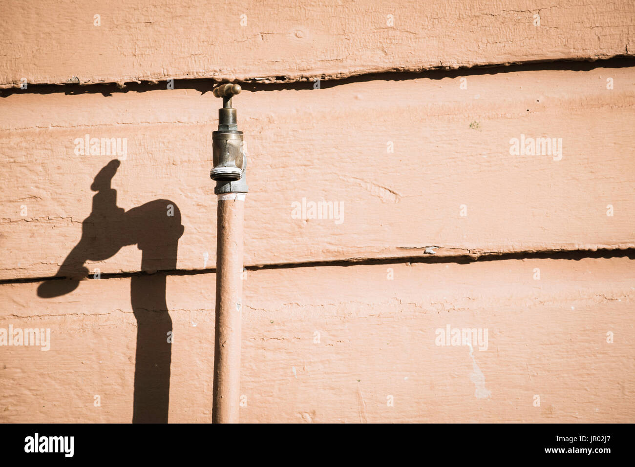Ein einzelner Zapfen oder tippen oder Wasserhahn, gegen eine Wand Holz in direktem Sonnenlicht Stockfoto