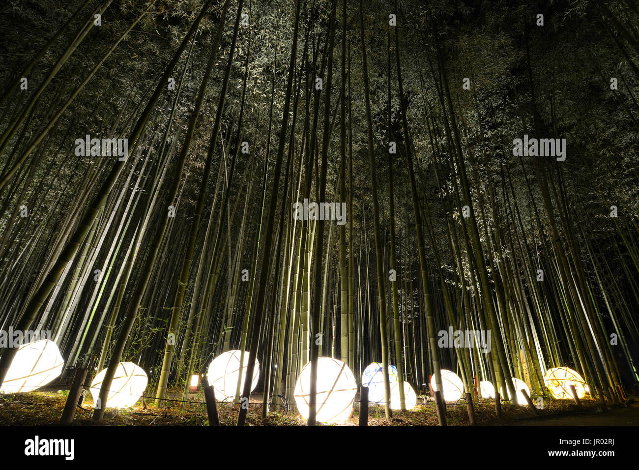 In der Form eines Balls, mit Laternen in einem Bambuswald in der Nacht zum Licht Beleuchtung Festival in Kyoto, Japan Stockfoto