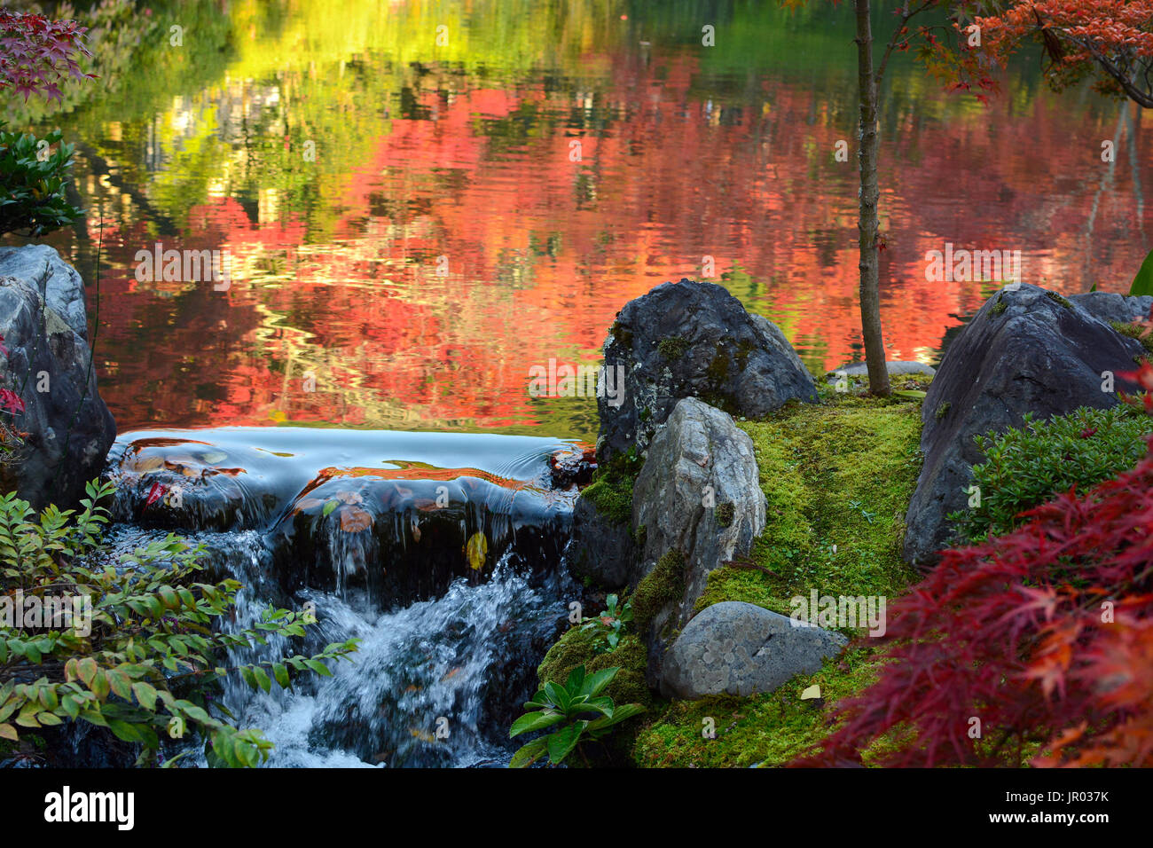 Kleiner Wasserfall über die Felsen am Rande eines Teiches mit Herbst Reflexionen im Wasser Stockfoto