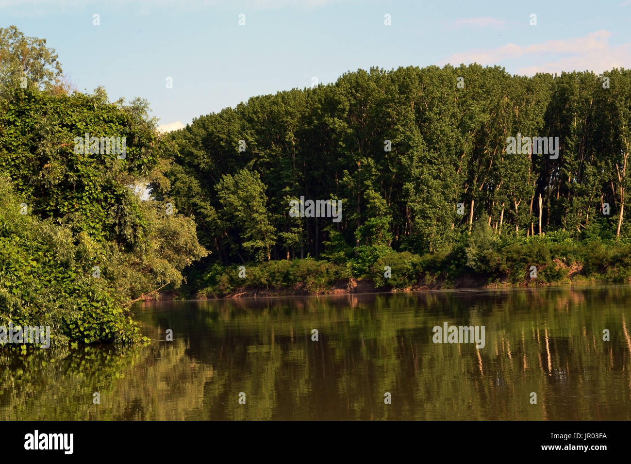 Die Natur folgt seiner Abfolge von Zyklen. Hier beeindruckende Momente aus dem Buch der Natur an den Ufern der Donau, die Arm- und Jianu Stockfoto
