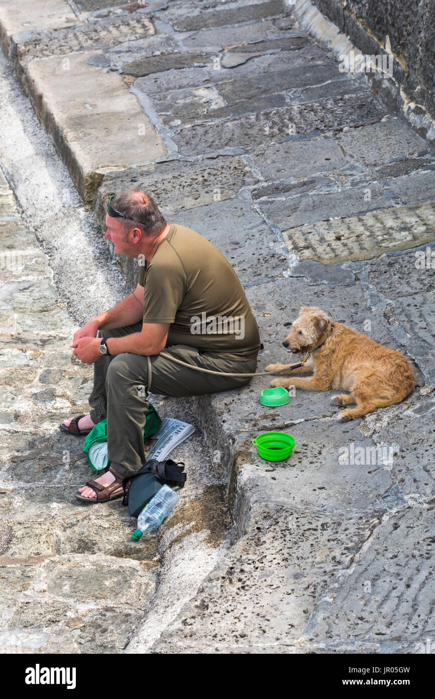 Mann, sitzend mit Hund auf Hafenmauer bei Lyme Regis, Dorset im Juli Stockfoto