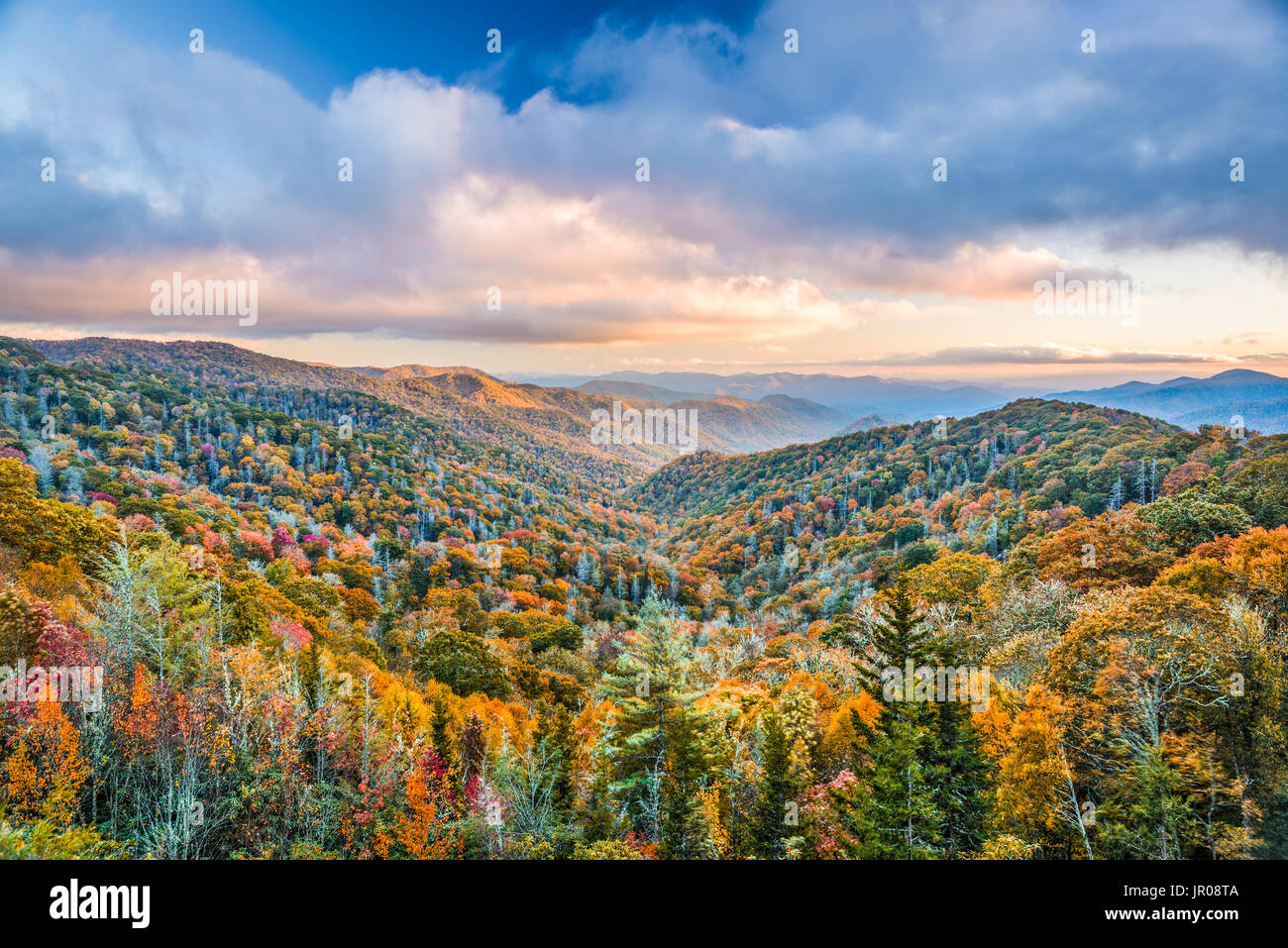 Smoky Mountains National Park, Tennessee, USA Herbstlandschaft am Newfound Gap. Stockfoto