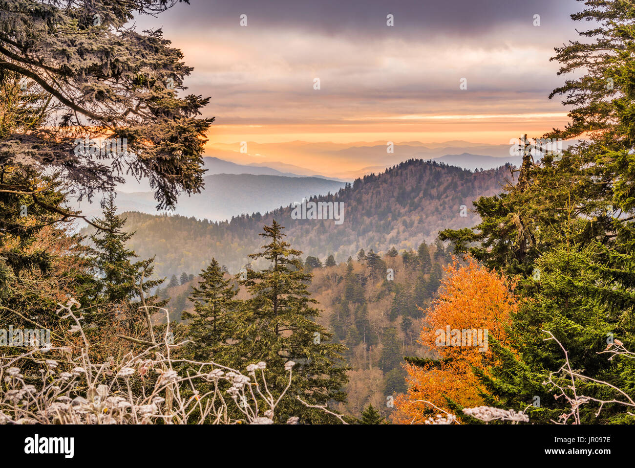 Herbstlandschaft Smoky Mountains National Park, Tennessee, USA. Stockfoto