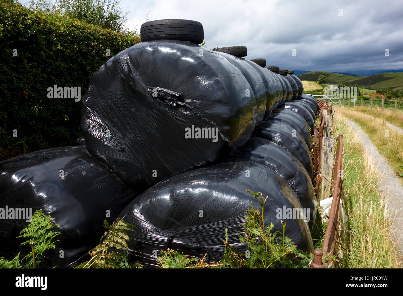 Schwarzer Kunststoff verpackt Ballen. Wales Stockfoto