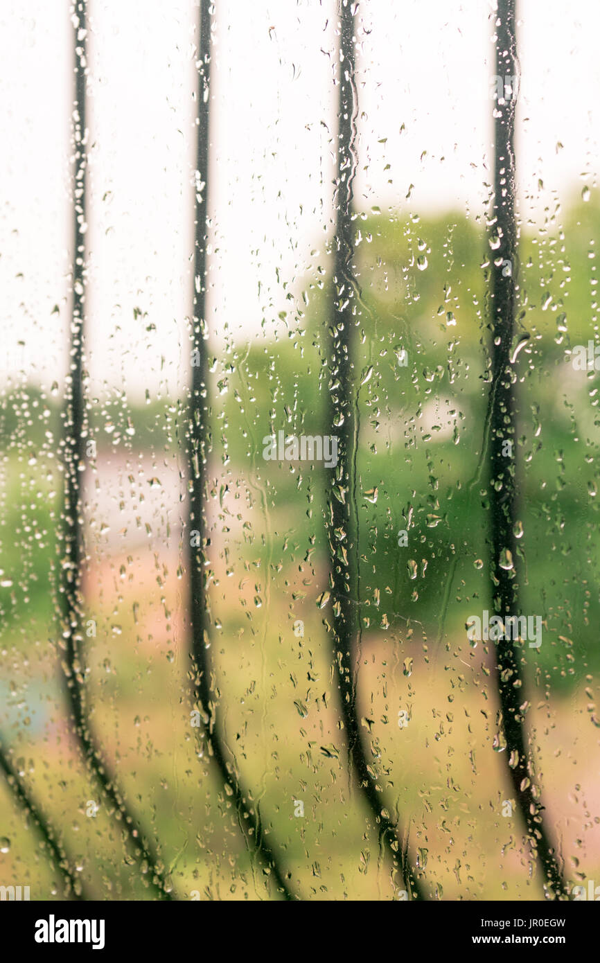 Regen Tropfen gegen die Fenster Glas - regen konzept Stockfoto