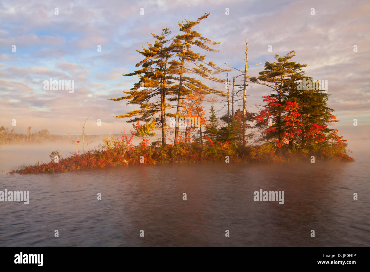 Insel und Morgennebel auf Grand Lake, oakfield Provincial Park, Nova Scotia, Kanada Stockfoto