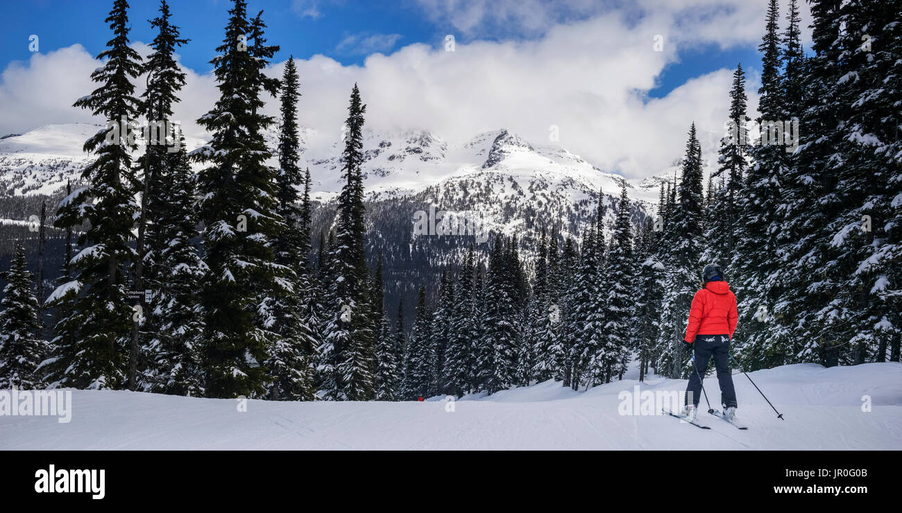 Eine Skifahrerin stellt steht an der majestätischen Bergwelt zu einem Skigebiet, Whistler, British Columbia, Kanada Stockfoto