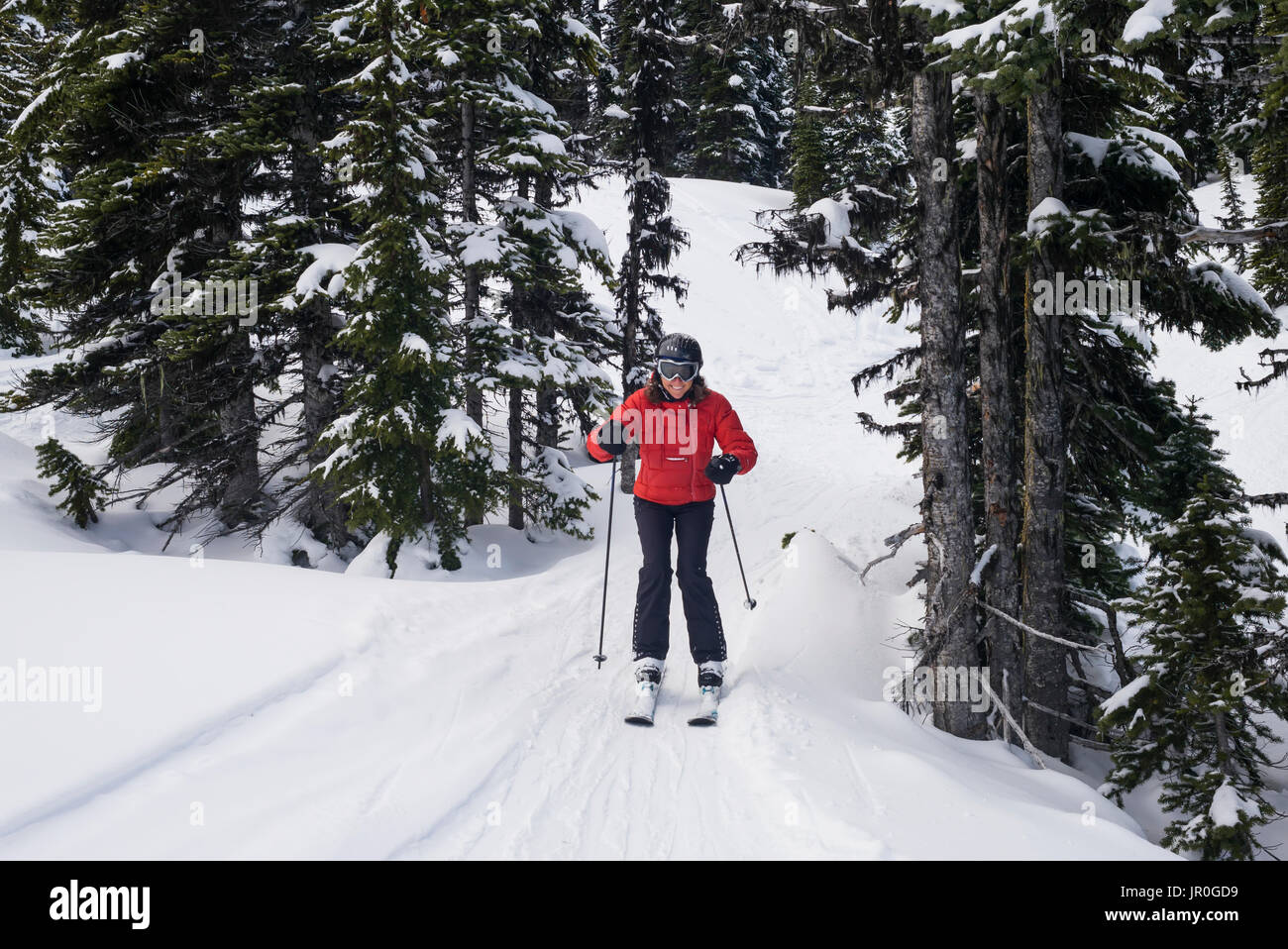 Ein Cross Country Skier in einem roten Mantel Skifahren auf den verschneiten Loipen der Rocky Mountains; Whistler, Britisch-Kolumbien, Kanada Stockfoto