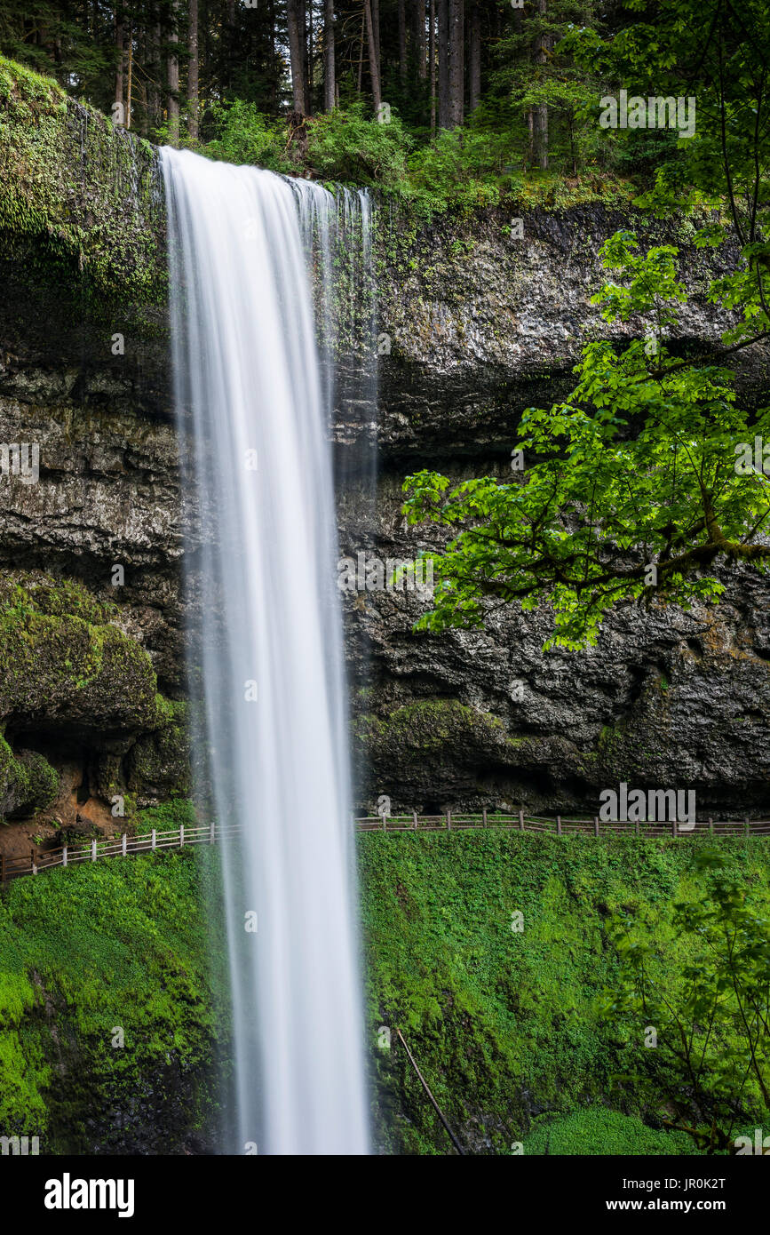 Nach Süden fällt ist die Beliebteste Wasserfall bei Silver Falls State Park, Silverton, Oregon, Vereinigte Staaten von Amerika Stockfoto