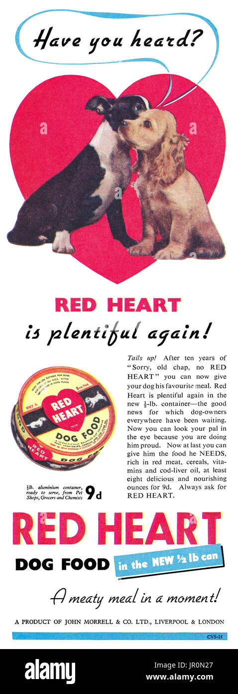 1950 britische Werbung für Red Heart Hundefutter. Stockfoto