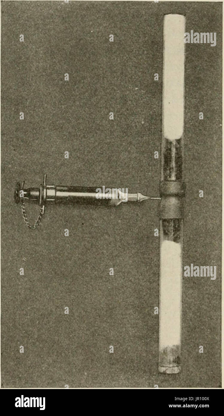 "Lokale und regionale Anästhesie; mit Kapiteln über spinale, epidurale, paravertebralen und Parasacral Analgesie und andere Anwendungen der lokalen und regionalen Anästhesie die Operation der Augen, Ohren, Nase und Rachen und Zahnarztpraxis " Stockfoto