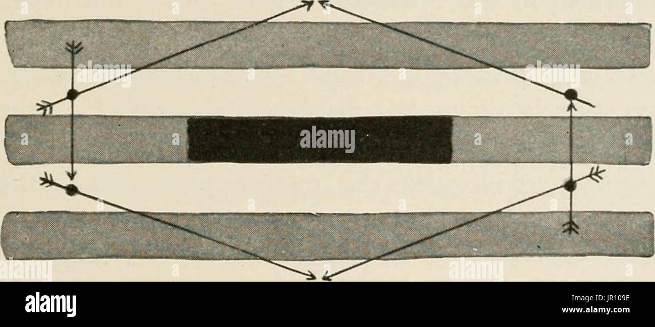 "Lokale und regionale Anästhesie; mit Kapiteln über spinale, epidurale, paravertebralen und Parasacral Analgesie und andere Anwendungen der lokalen und regionalen Anästhesie die Operation der Augen, Ohren, Nase und Rachen und Zahnarztpraxis " Stockfoto