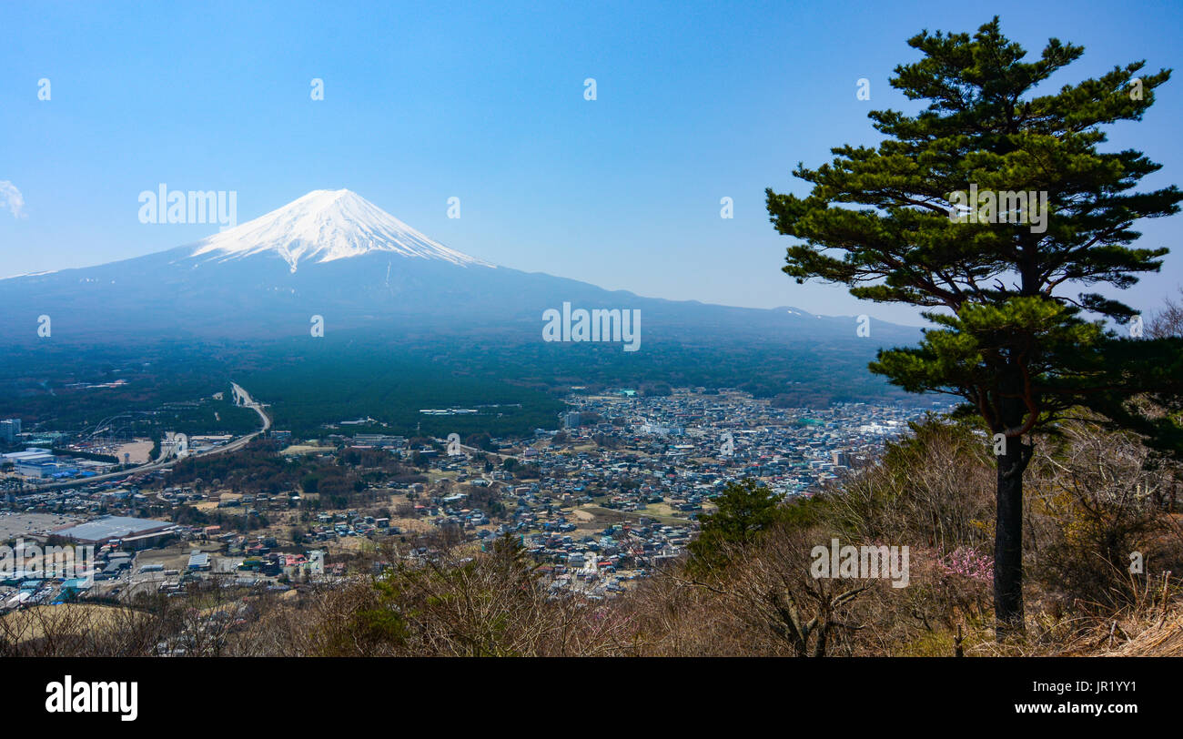 Landschaft von Fuji Vulkan und eine Lone Pine Tree in Japan Stockfoto