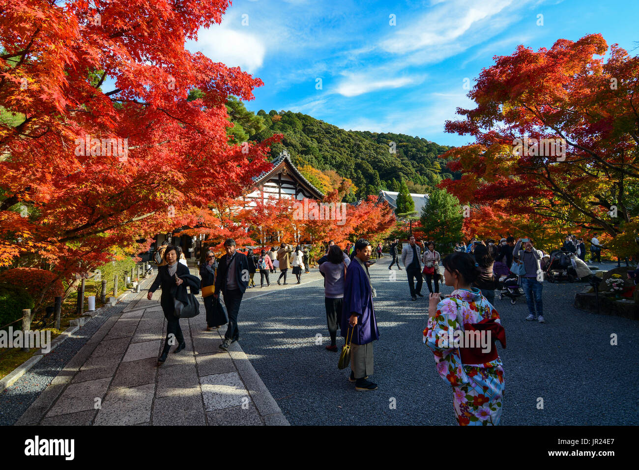 KYOTO, Japan - 16 November 2016 - Besucher und ausländische Touristen genießen Sie den kräftigen Farben von Herbst an Eikan-do Zenrin-ji-Tempel in Kyoto, Japan Stockfoto