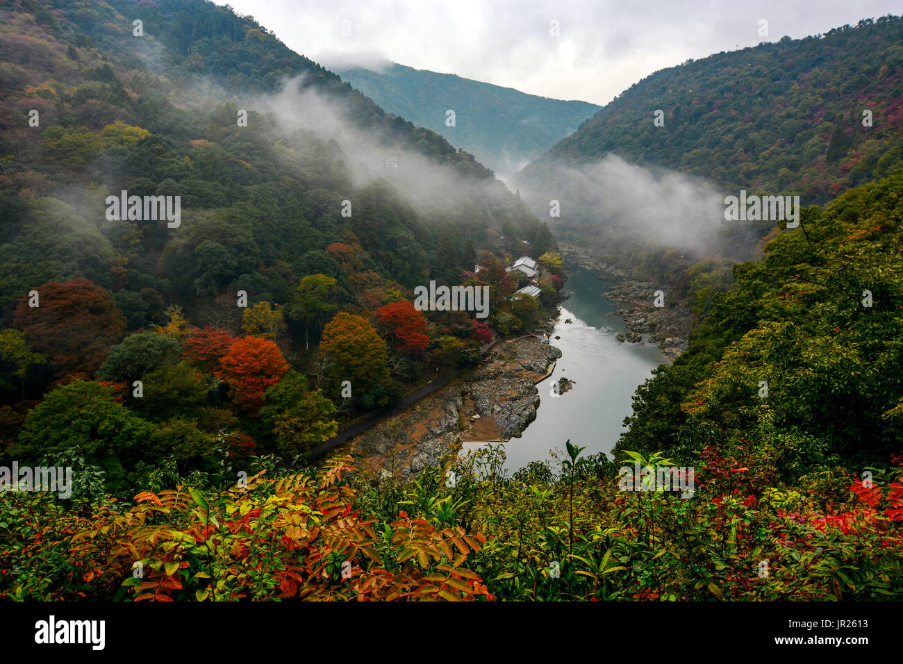 Frühling blühende Kirschbäume entlang des Flusses Katsura Berghang in Kyoto, Japan Stockfoto