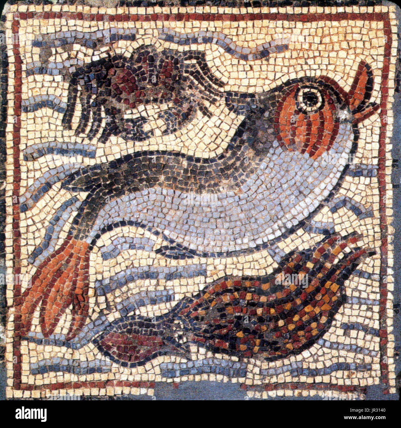 Marine Fauna, byzantinische Mosaik, 6. Stockfoto