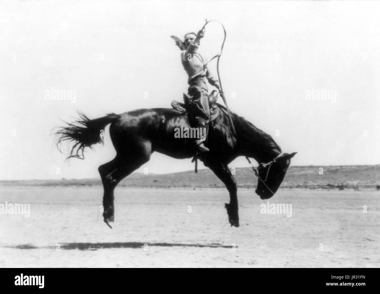 Canutt Champion Dame Fahrer der Welt in Winnemucca, 1919. Kitty Canutt Künstlernamen Kitty Wilks (15. Juli 1899 - 3. Juni 1988), war eine professionelle Bronc Reiter und das all-around Champion Cowgirl auf 1916 Pendleton Round-Up in Pendleton, Oregon, für ihr unruhiges Pferd und Staffellauf Veranstaltungen. Sie war als "Diamond Girl" oder "Diamond Kitty" bekannt, weil sie einen Diamanten in ihrem vorderen Zahn gesetzt hatte. Sie würde gelegentlich entfernen und den Diamanten verpfänden, wenn sie Eintrag Geld bestreiten erforderlich. Ruckeln ist eine Bewegung von einem Pferd, in dem das Tier senkt seinen Kopf und wirft die Hinterhand in, durchgeführt Stockfoto