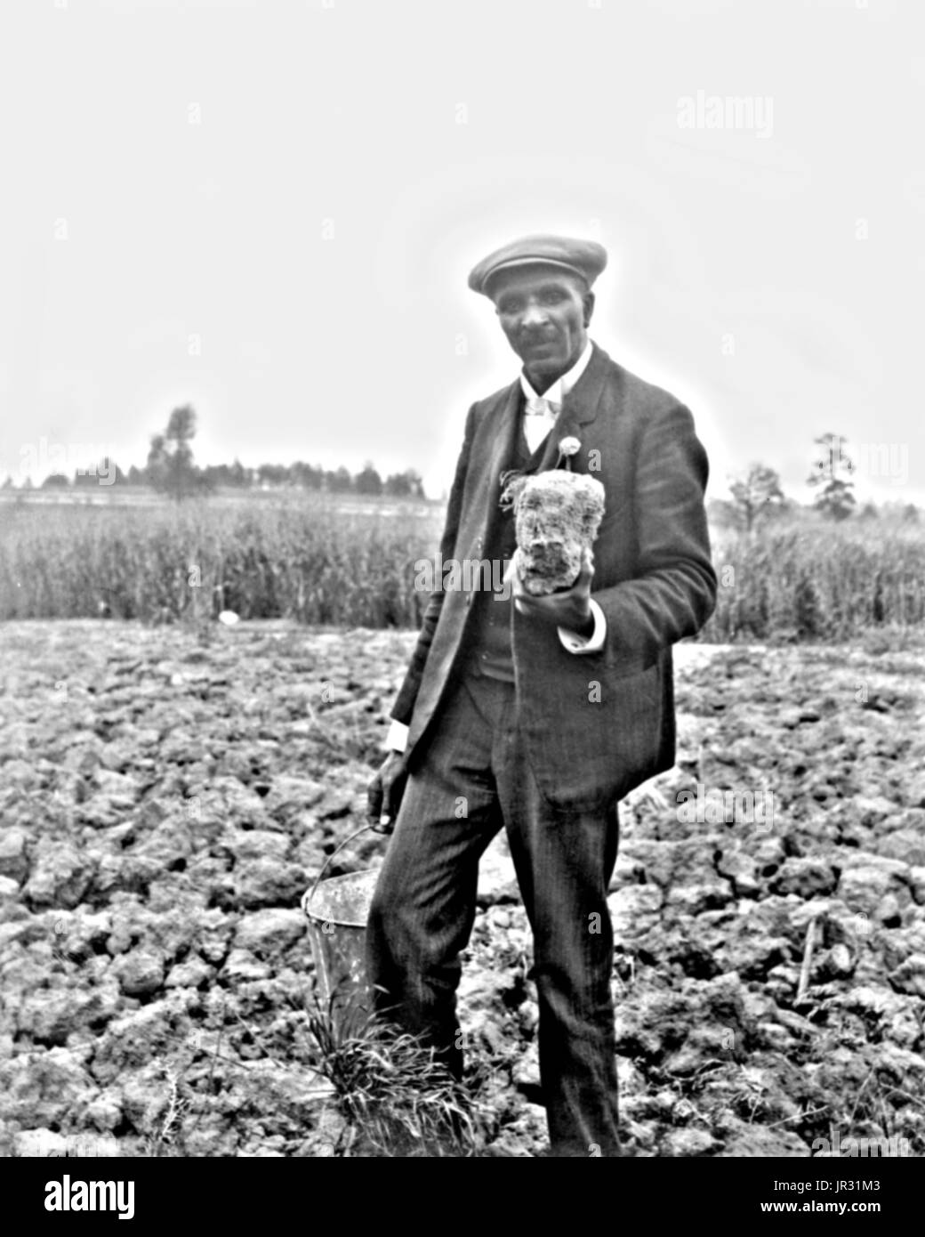 Carver, stehen im Feld, wahrscheinlich in Tuskegee, Holding Stück Erde. George Washington Carver (1864 - 5. Januar 1943) war ein afrikanisch-amerikanischer Wissenschaftler, Botaniker, Pädagoge und Erfinder in die Sklaverei hineingeboren. Im Jahre 1891 besuchte und studierte Botanik an der Iowa State Agricultural College, wo er war der erste schwarze Student und später als erster schwarzer Fakultät gelehrt. Sein Ruf basiert auf seiner Erforschung und Förderung von Alternativkulturen, Baumwolle, wie Erdnüsse, Sojabohnen und Süßkartoffeln, die auch Nahrung für die bäuerlichen Familien unterstützt. Er wollte, dass arme Bauern, alternative c wachsen Stockfoto