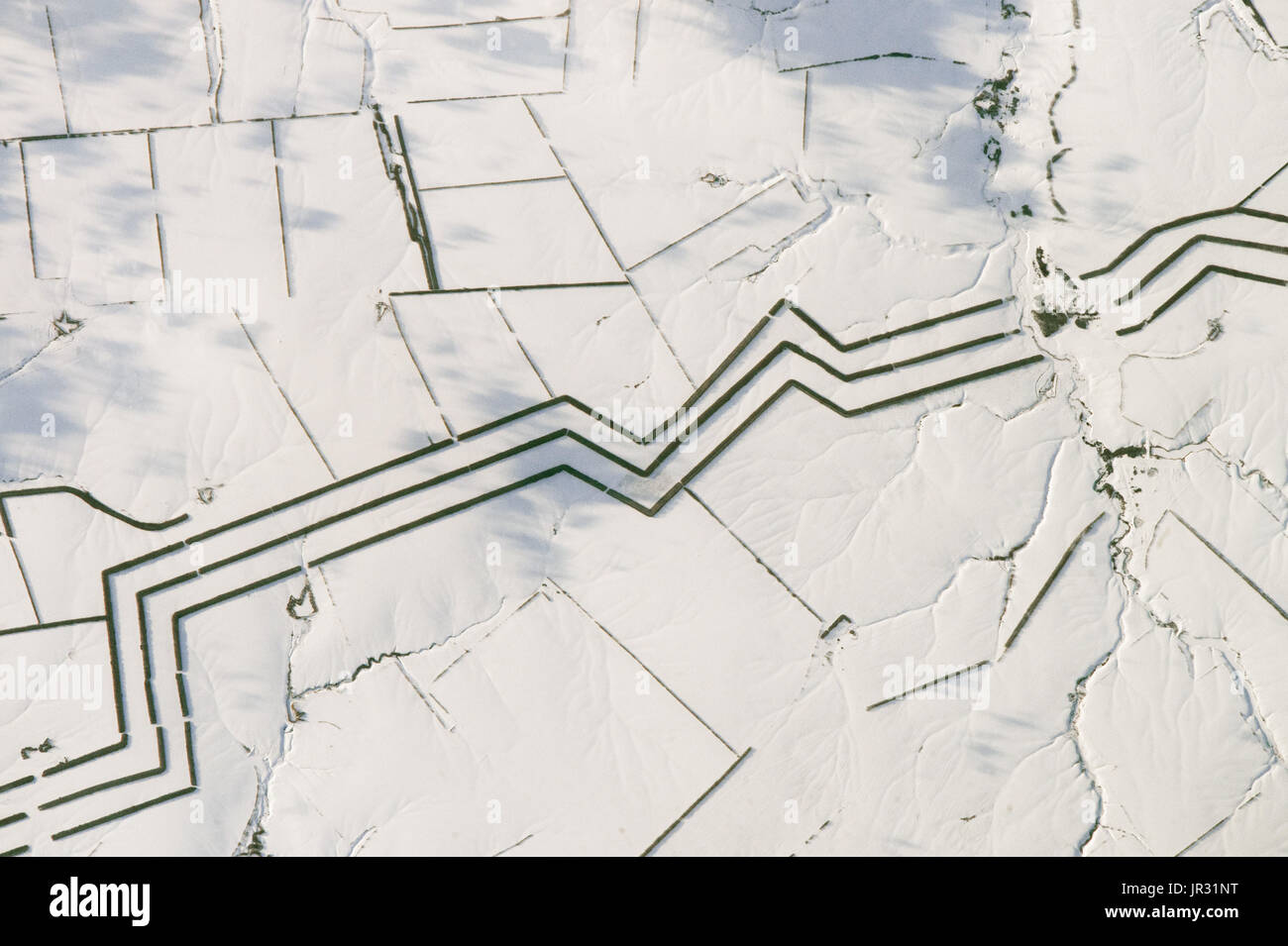 Windschutz in den Steppen des südlichen Russland, in der Nähe der Wolga, um Bodenerosion zu verhindern. Jede Zeile ist eine Anpflanzung von Bäumen, etwa 60 Meter (75 Yards) breit. Fotografiert von einem Astronauten auf der internationalen Raumstation ISS am 16. Februar 2017. Stockfoto