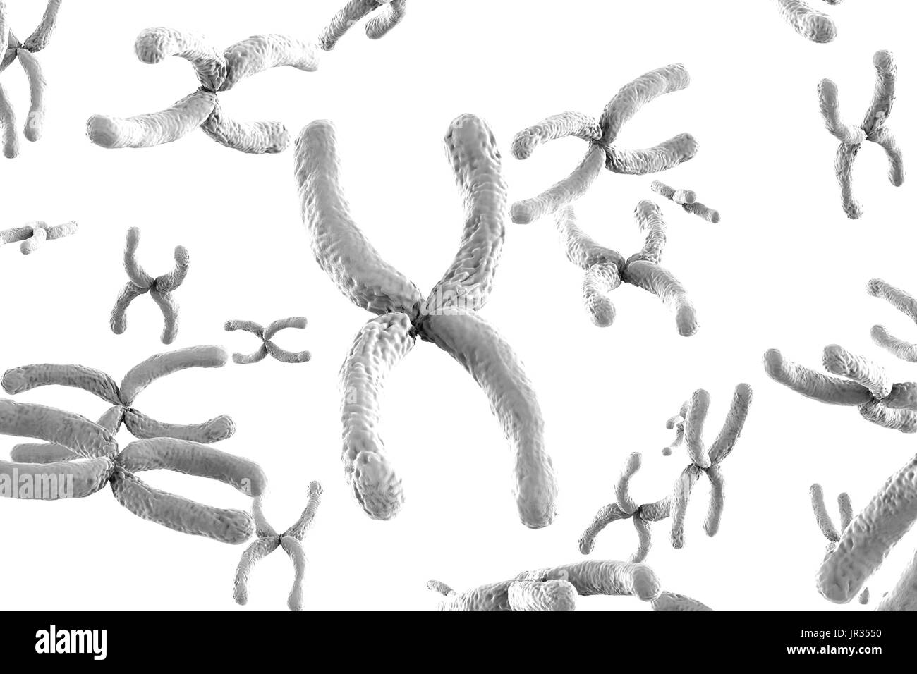 3D Rendering Whtie Chromosomen auf weißem Hintergrund Stockfoto