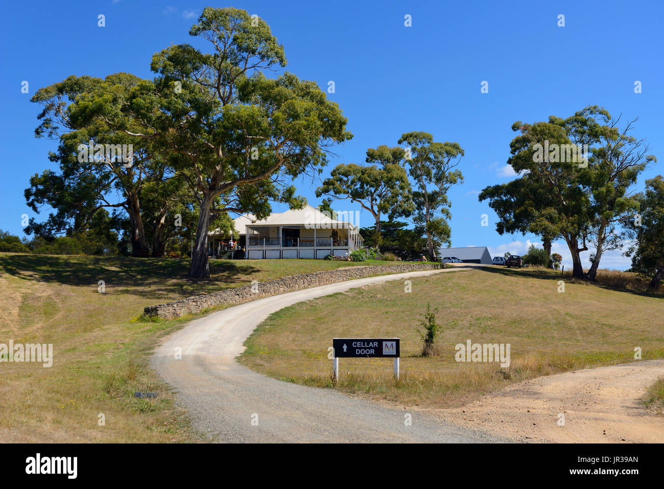 Milton Weinberg und Kellertür auf Tasman Highway nördlich von Swansea auf Ost Küste von Tasmanien, Australien Stockfoto