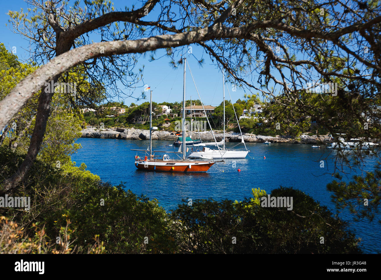 Yachten in der Bucht durch den Baum anzeigen Stockfoto