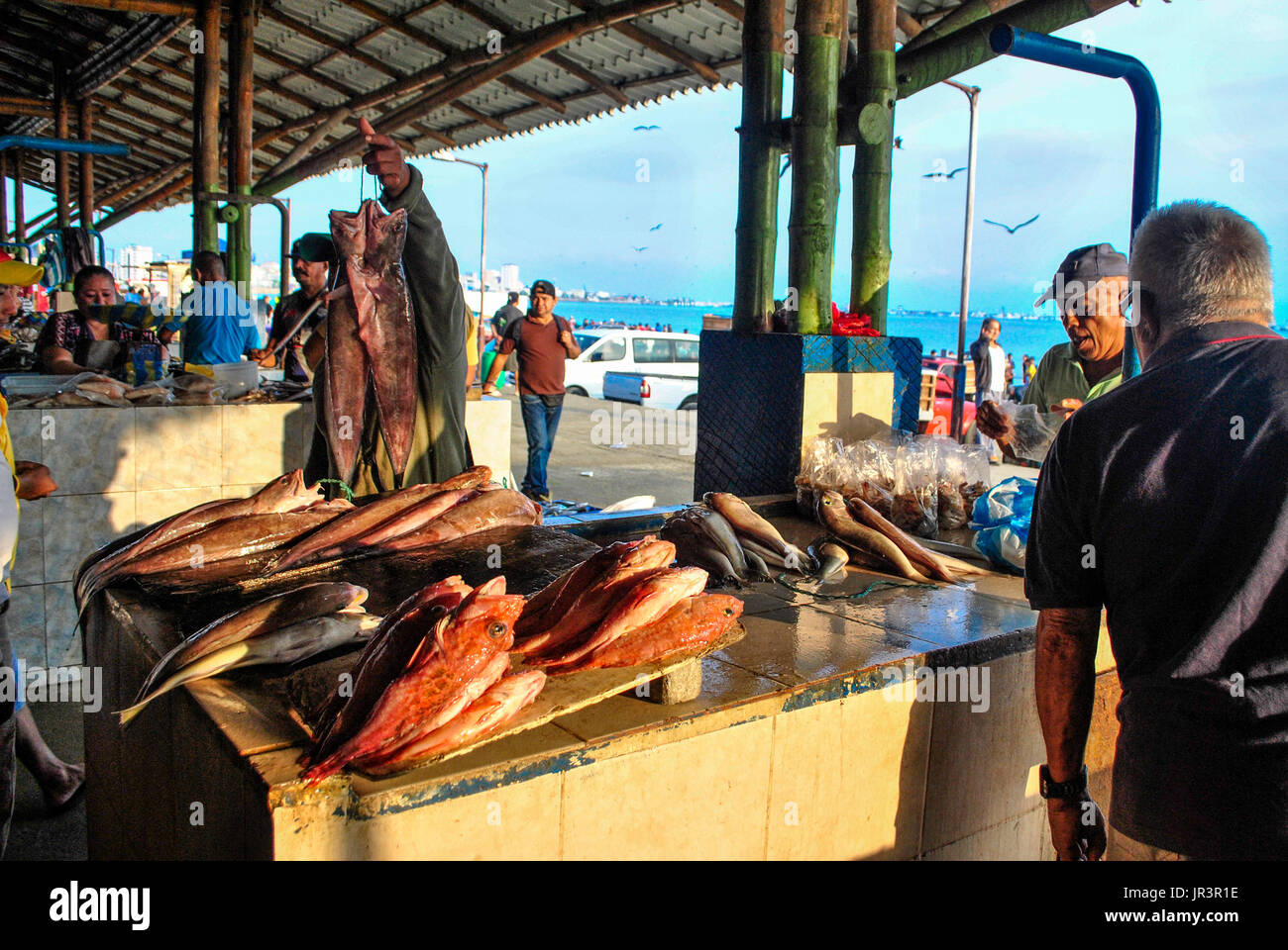 Händler und Einkäufer in einem Fischmarkt.  Hafen von Manta. Ecuador. Stockfoto