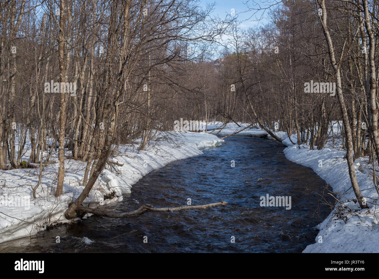 kleiner Fluss mit Schnee und Bäumen Stockfoto