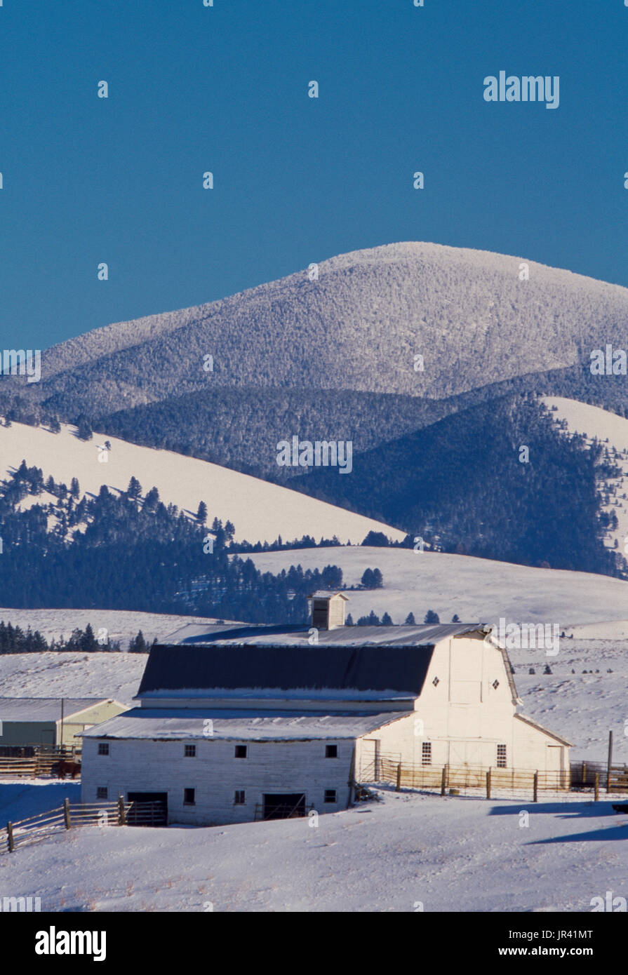 Weiße Scheune in eine Schneelandschaft unter Nevada Berg in der Nähe von Helmville, montana Stockfoto