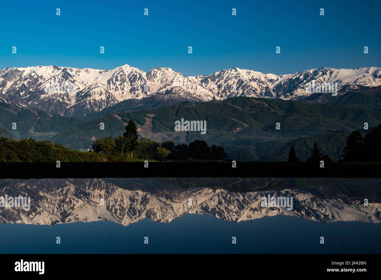 Wasser reflektiert Stockfoto