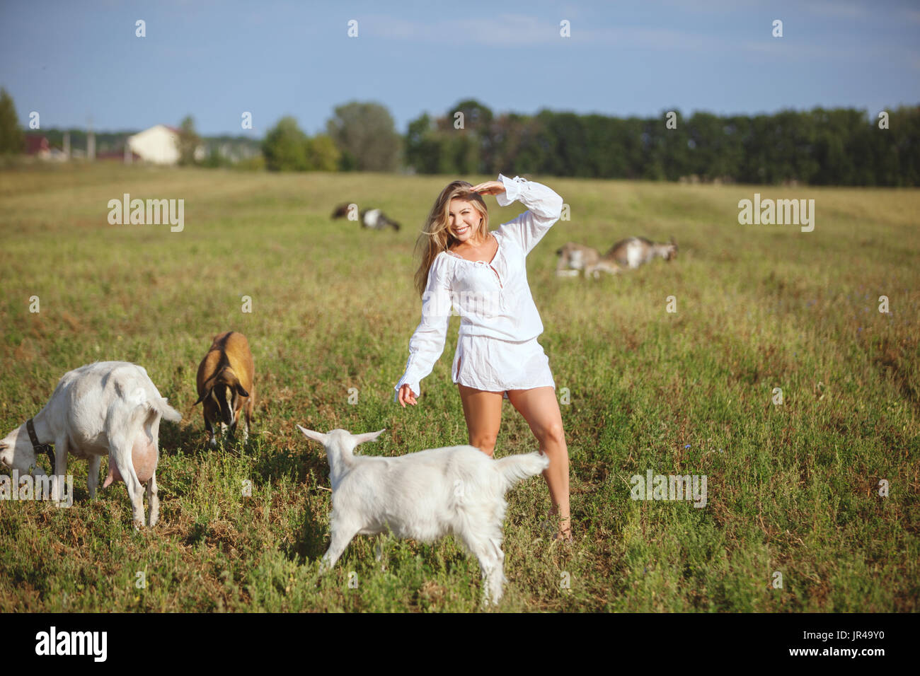 Im Feld Hausziegen, eine glückliche Frau und lächelnd zu grasen. Stockfoto