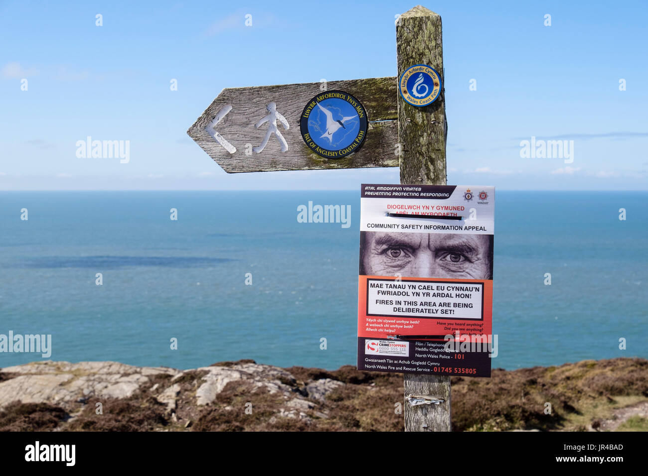 Insel Anglesey Coastal Path und Wales Coast Path schließt ein Wanderweg-Wegweiser mit einer zweisprachigen Gemeinde Sicherheitsinformationen. Anglesey Wales UK Stockfoto