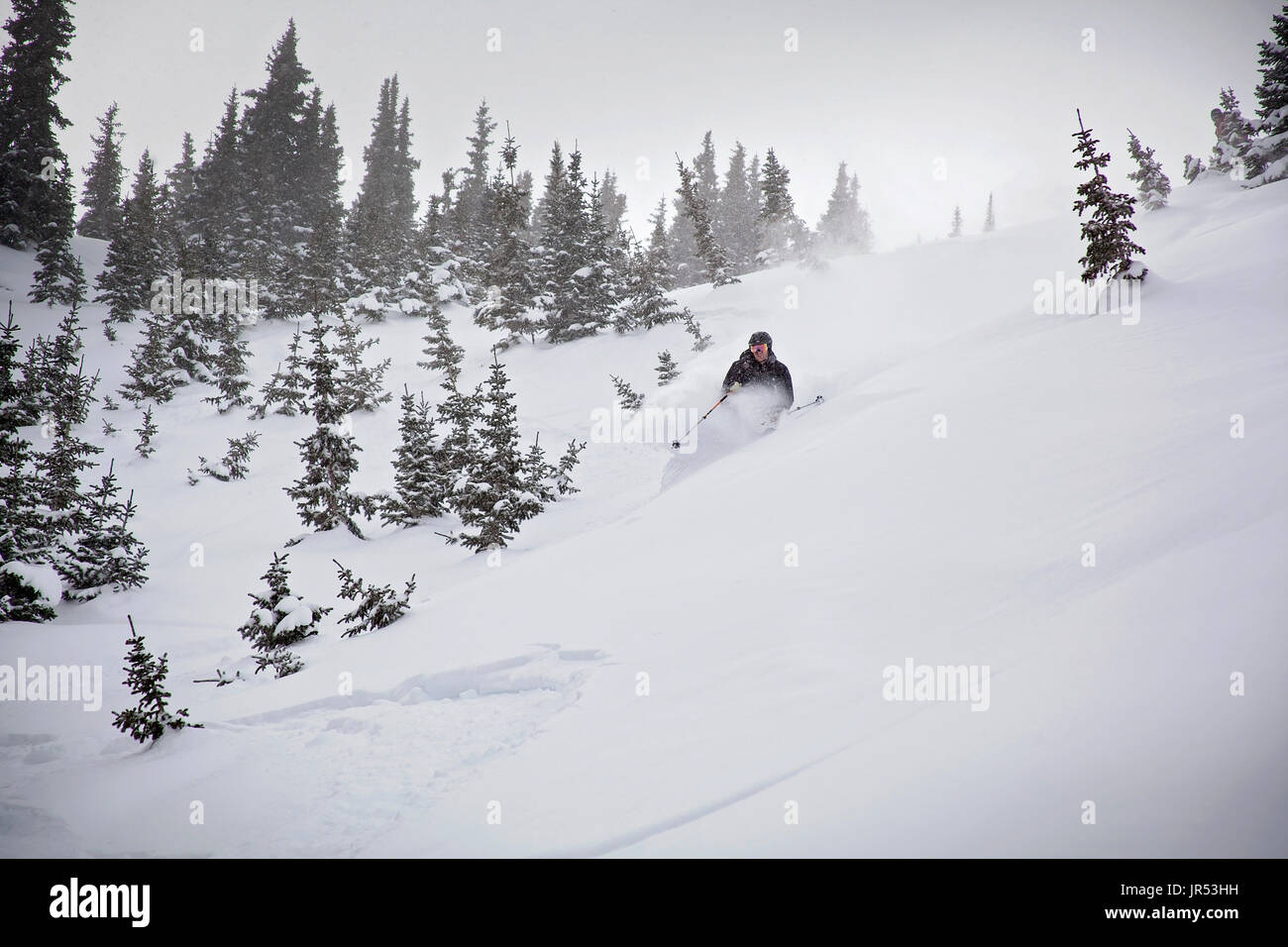 Skifahrer drehen durch Tiefschnee in großer Höhe Stockfoto