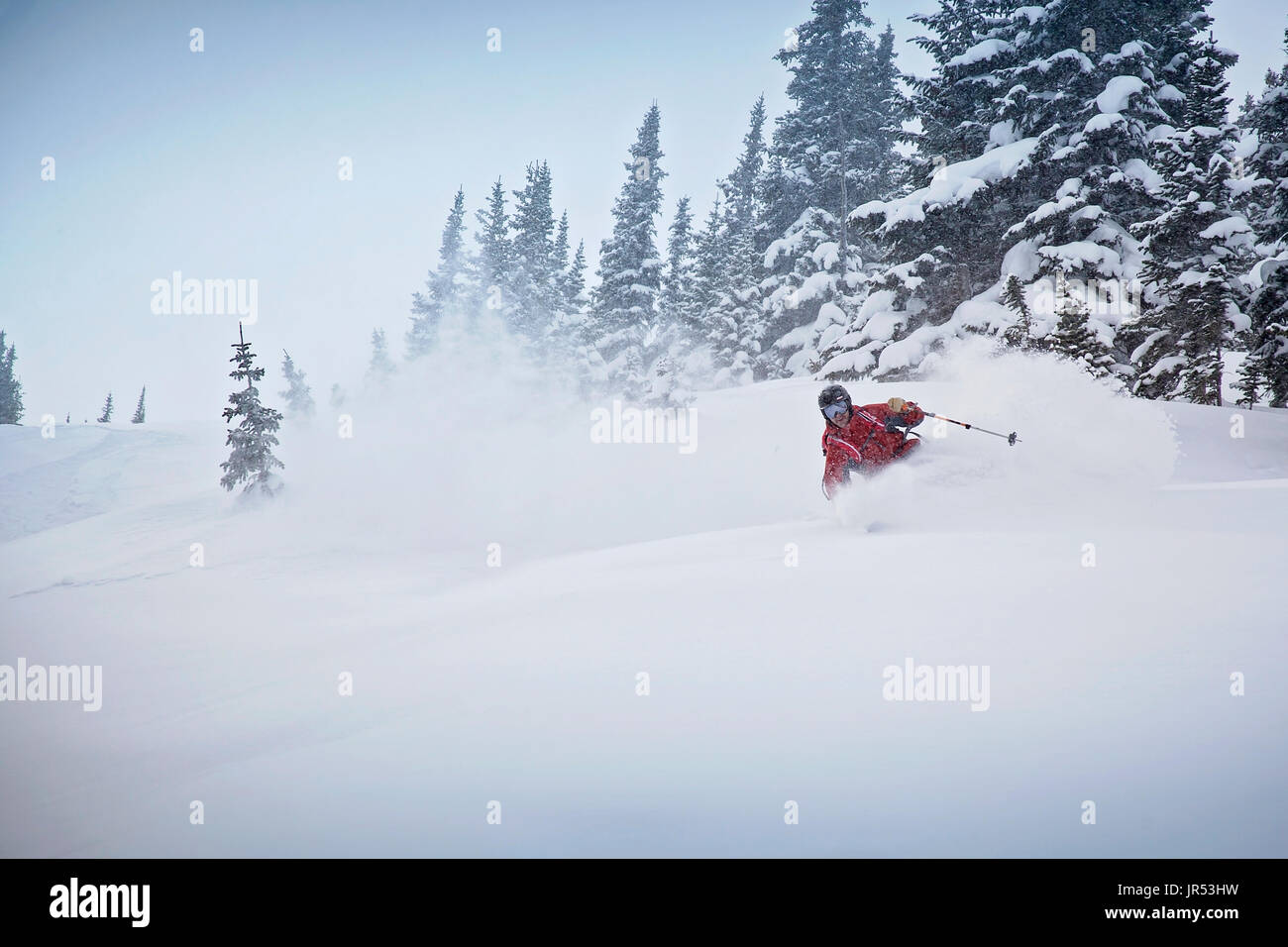 Skifahrer drehen durch Tiefschnee in großer Höhe Stockfoto